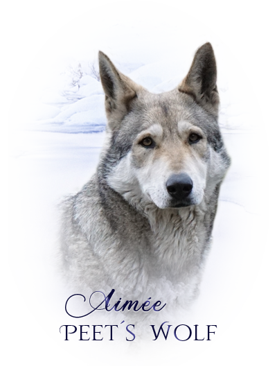 iko aimee