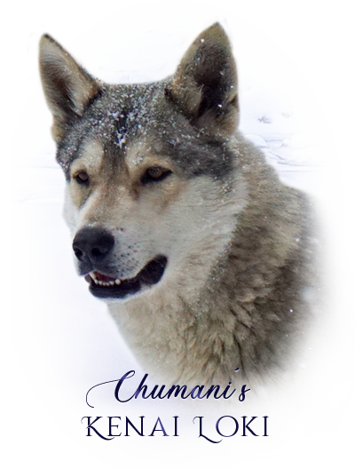 iko chumanis
