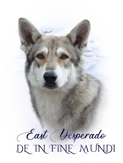 iko east