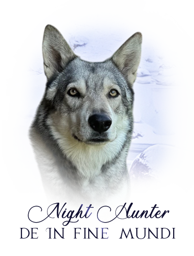iko hunter