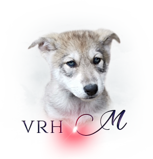 i m