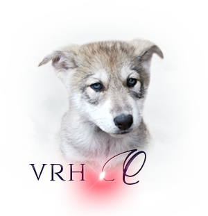 Vrh O