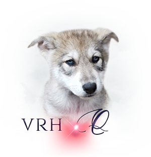 Vrh Q Vrh Q