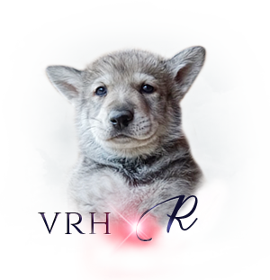Vrh Q R