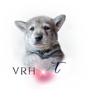 Vrh Q t