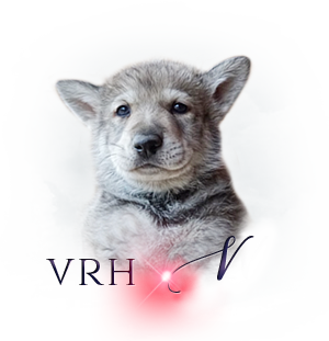 Vrh Q i v