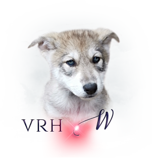Vrh Q w