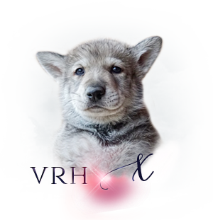 Vrh Q odchov
