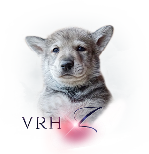 Vrh Q odchov