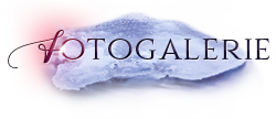 iko fotogalerie