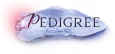 iko pedigree