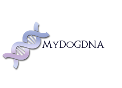 ico1